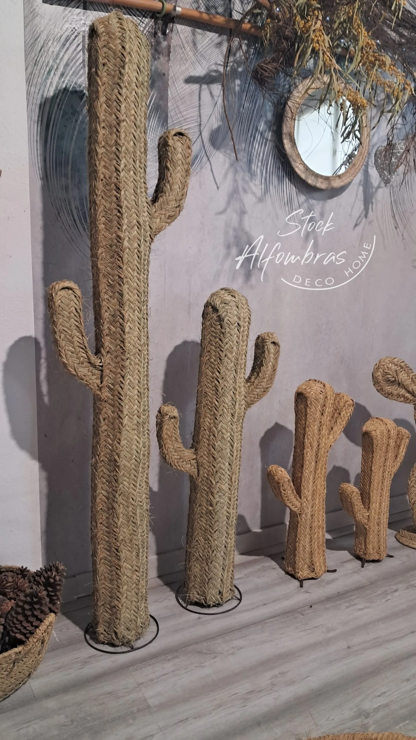 Cactus de Esparto
