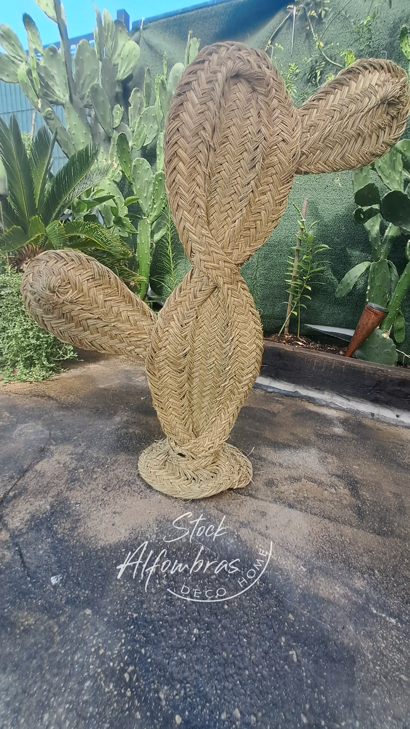 Palera de Esparto - Imagen 3