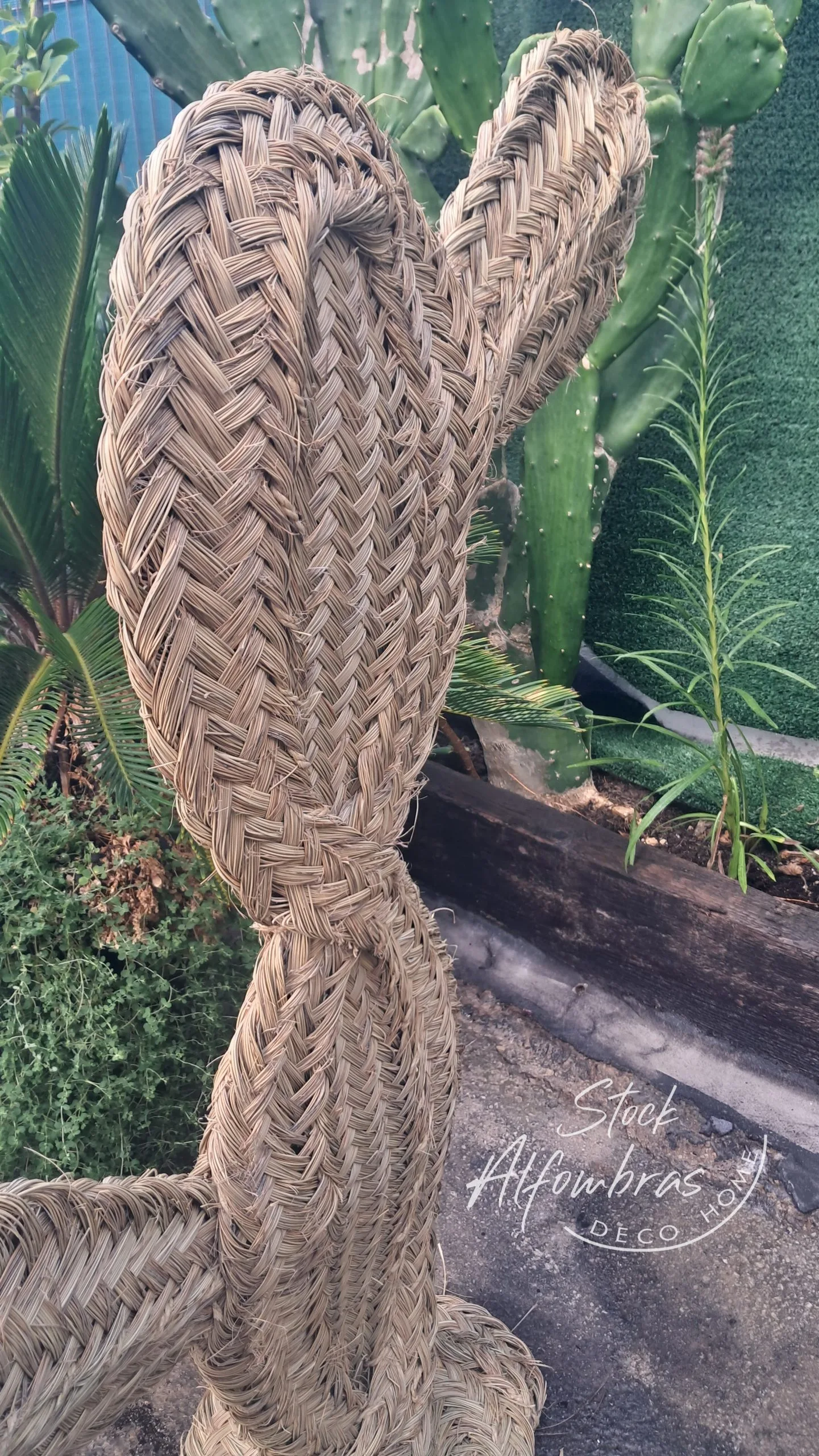 Palera de Esparto - Imagen 2