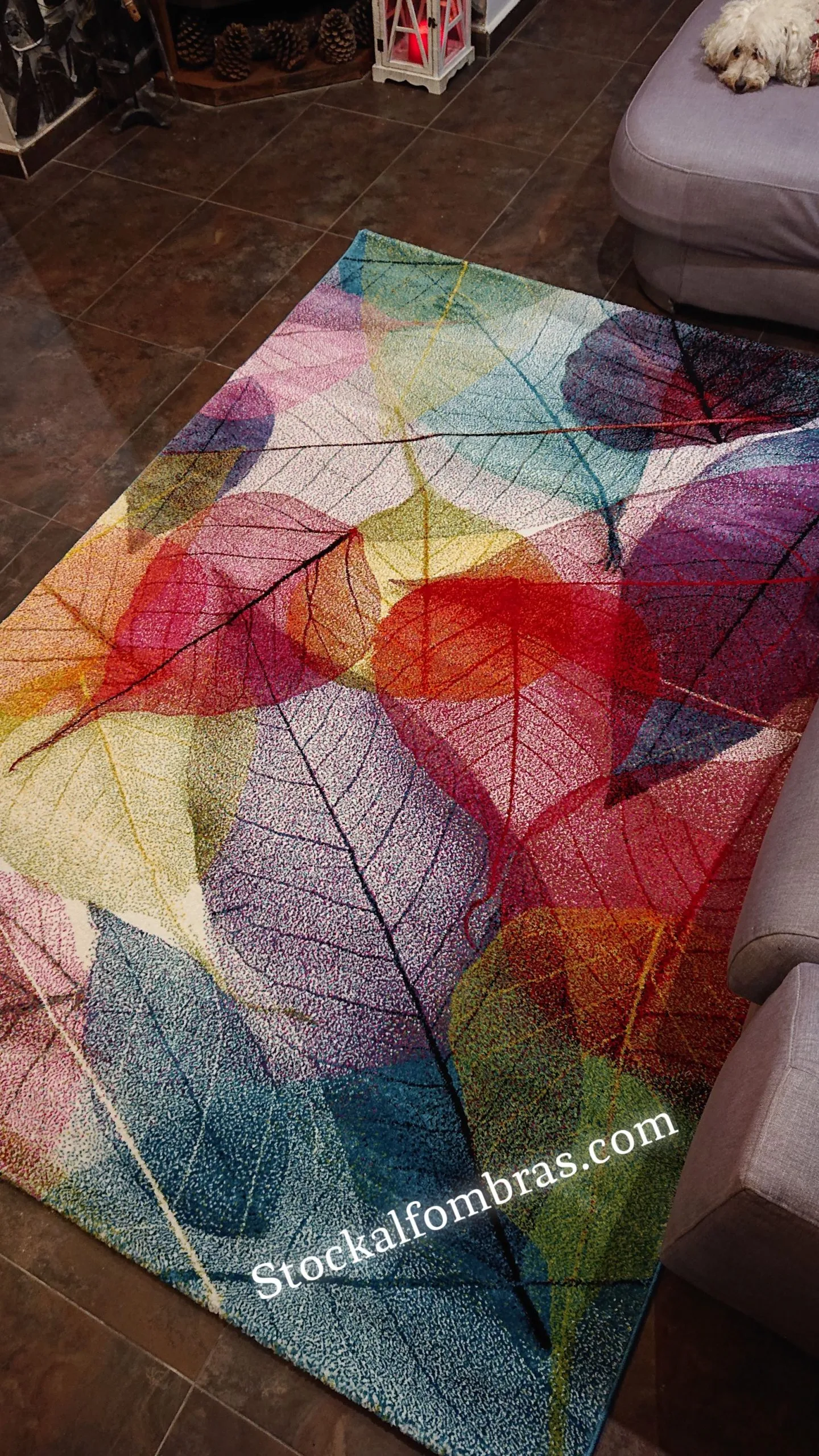 Colors Multi 22368 vibrante
